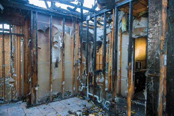 Professional Soot Cleanup technician working in Paden City, WV
